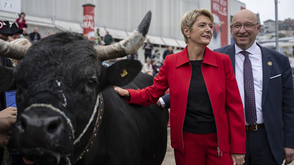 La presidente della Confederazione Karin Keller-Sutter con una mucca della razza dell'Hérens e il presidente del governo sangallese Beat Tinner all'inaugurazione dell'82ª edizione della fiera svizzera OLMA.
